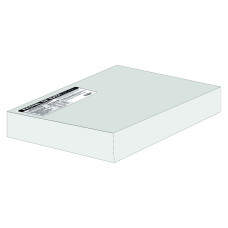 PASTEL DE NATA (BELÉM) 60GR  NEVASCA - CAIXA 6 X 0,360 KG  (36 UNI)